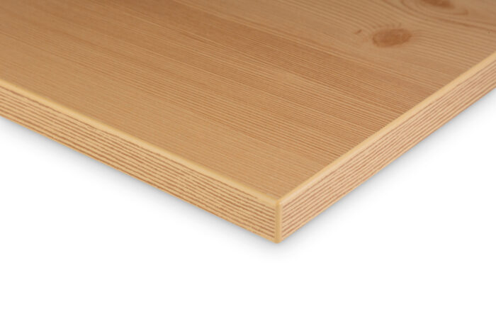 Astfichte – Bild 2
