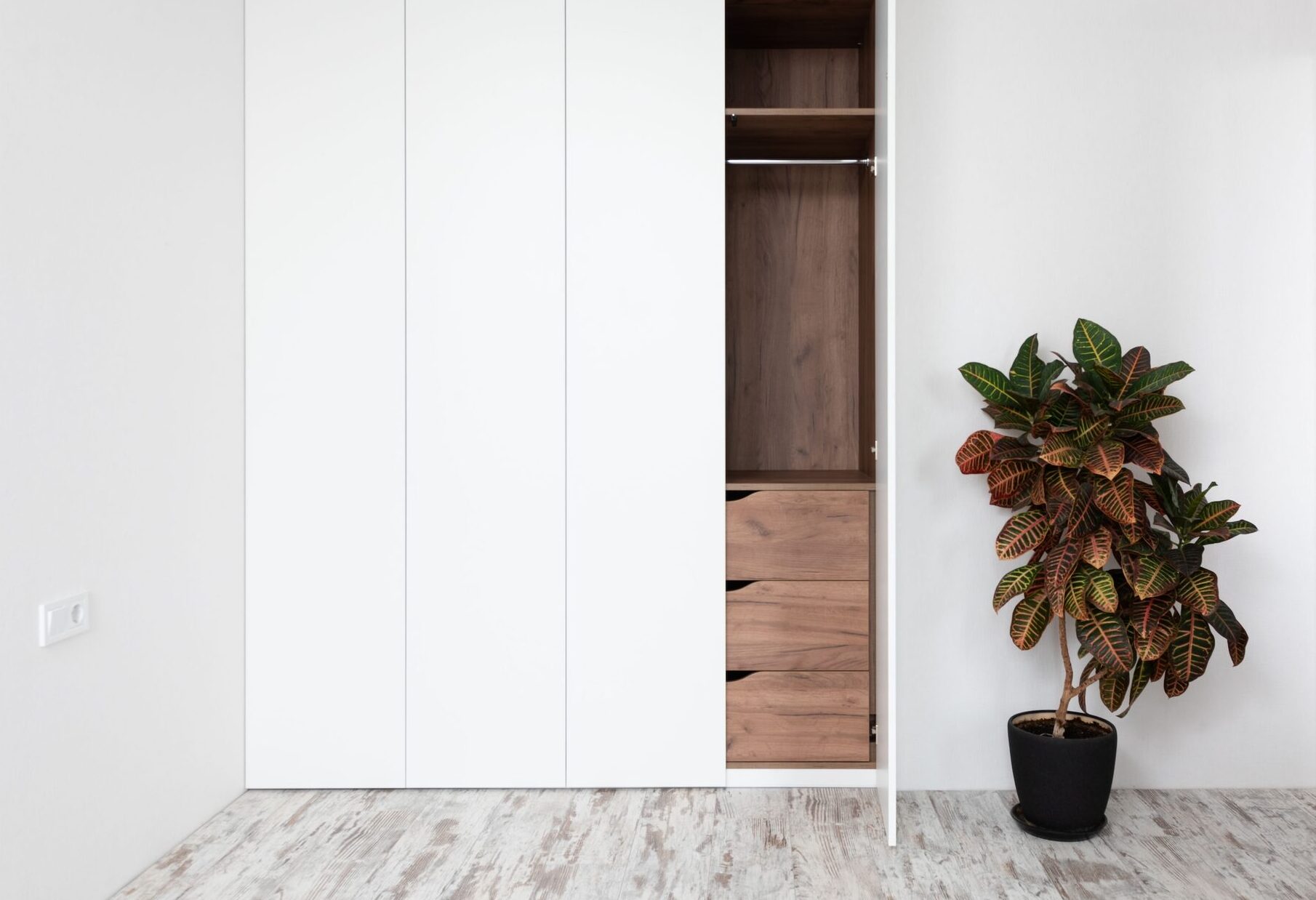 Griffloser weißer Kleiderschrank mit geöffneter Tür und Holz-Innenausbau, daneben eine Pflanze